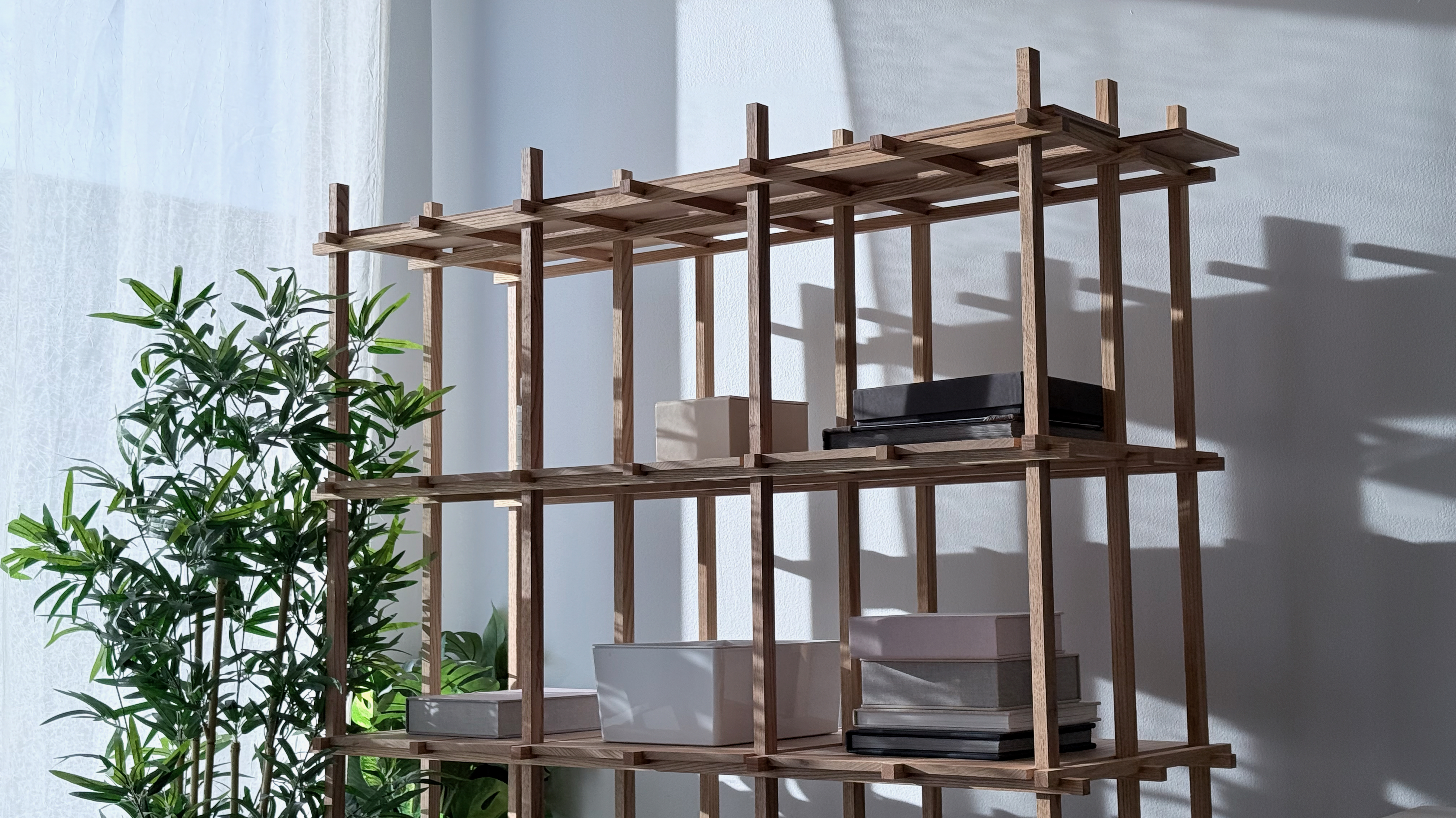 Sunlit wooden shelves with albums and print boxes beside plants