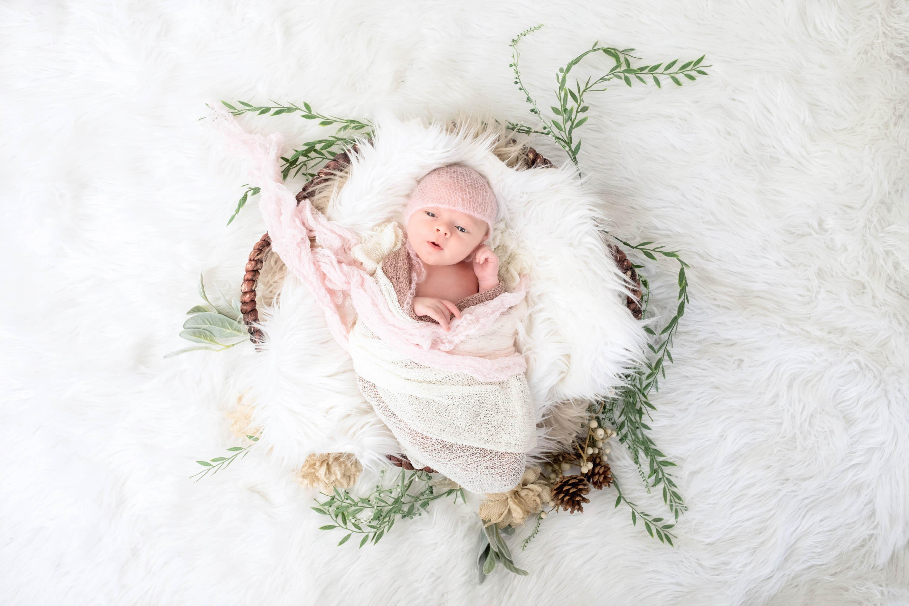 Newborn wrapped in a basket on a light backdrop